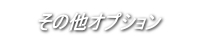 その他オプション